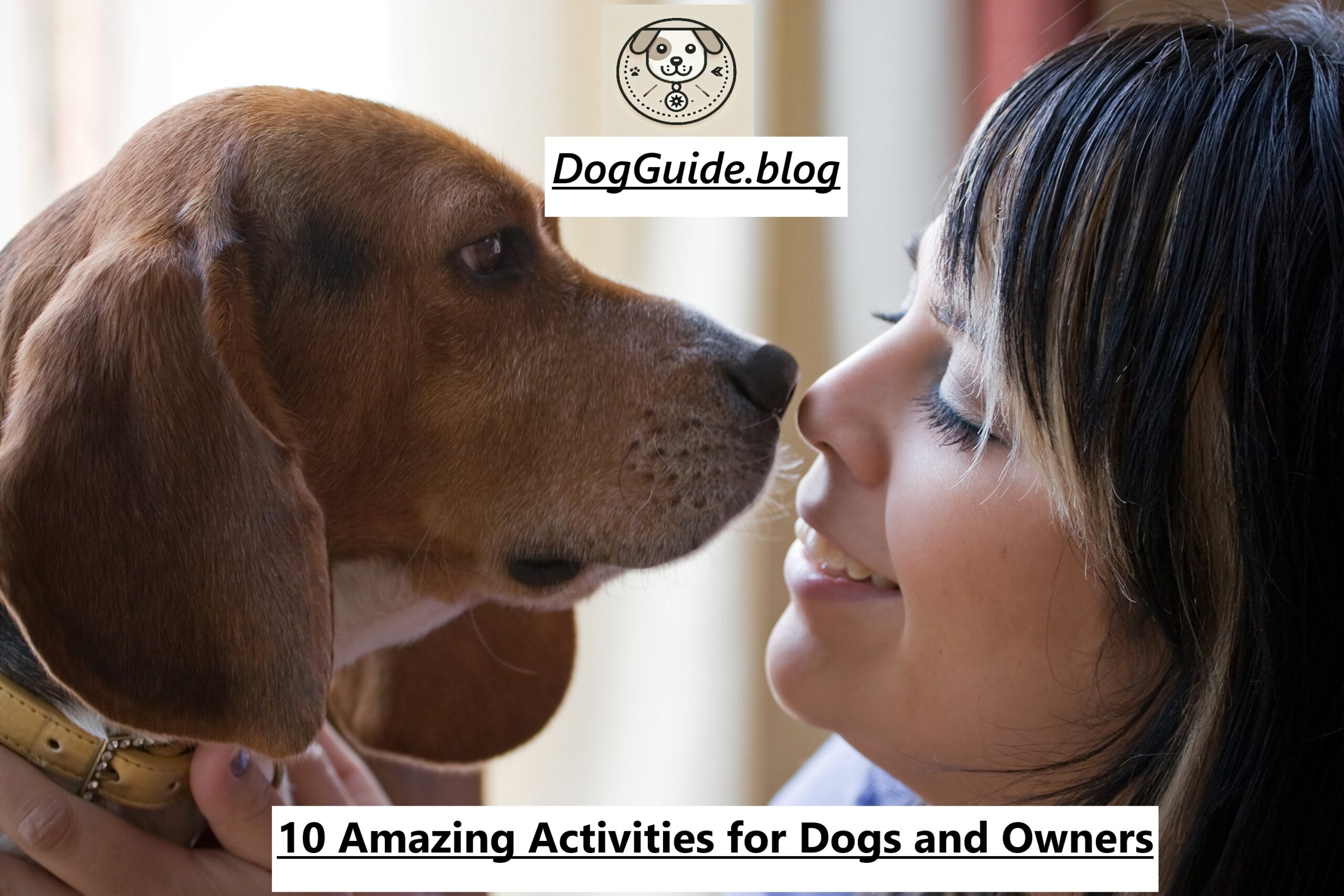 Activities for Dogs and Owners