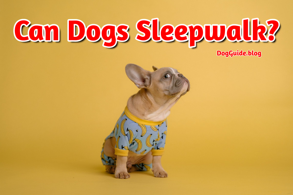 Can Dogs Sleepwalk