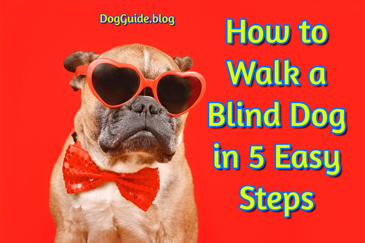 How to Walk a Blind Dog