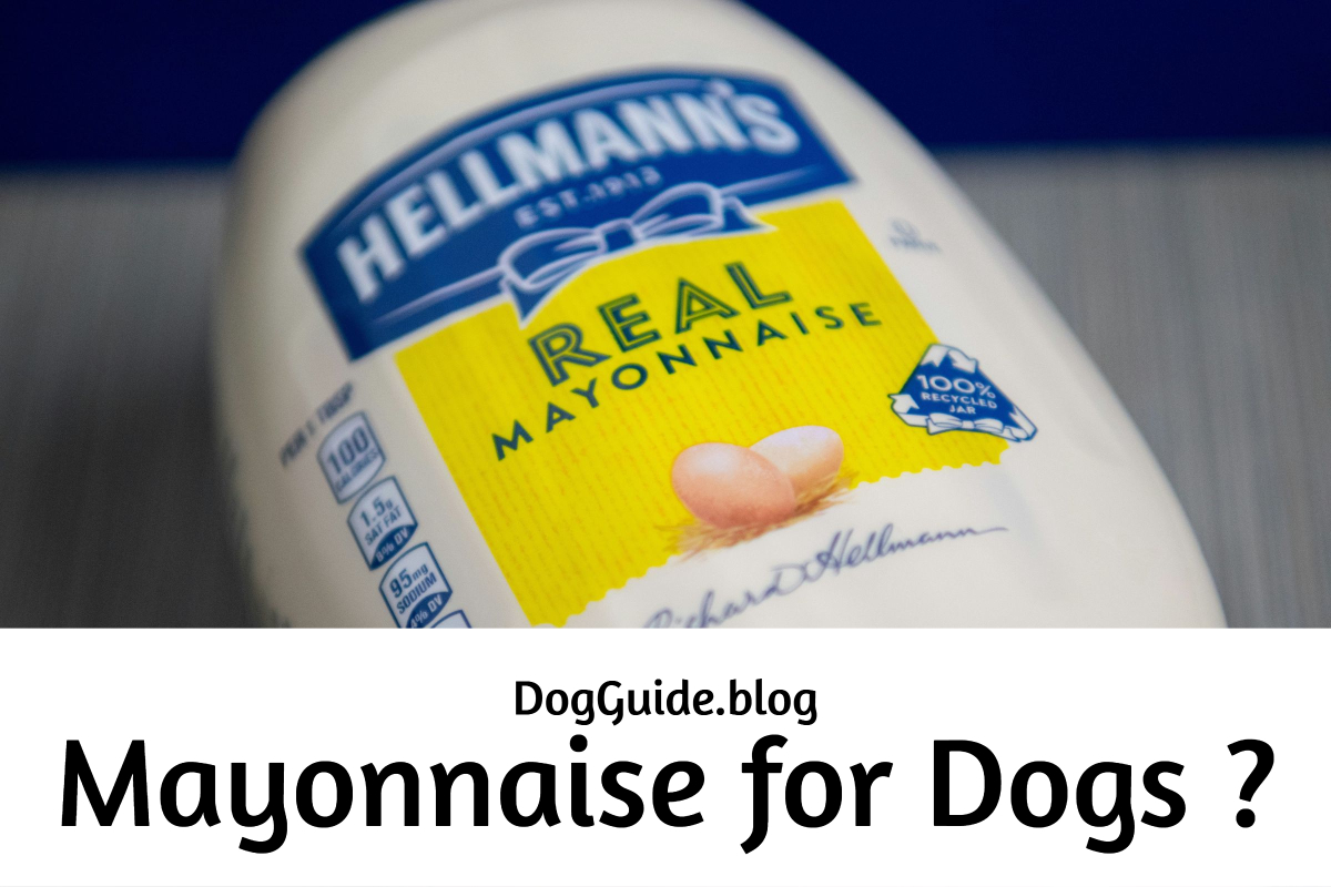 Mayonnaise for Dogs